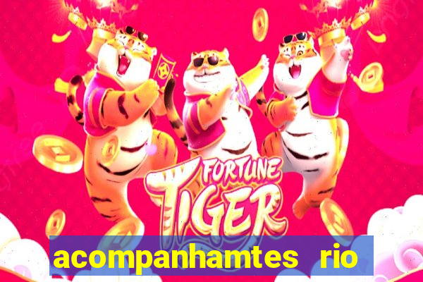 acompanhamtes rio de janeiro